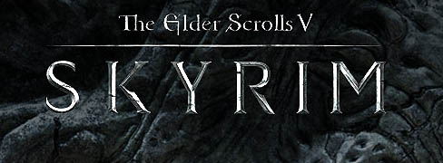 #003Υͥ/The Elder Scrolls V: SkyrimפȯBethesda SoftworksΥѡ˥󥿥ӥ塼ǽȥ㥦ȡɤӤ˹碌3ʳĴǽ