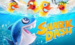 SharkDash