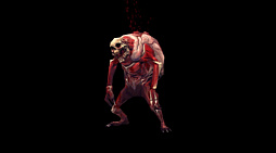  No.008Υͥ / 餬ɲäDiablo III: Reaper of SoulsפγĥѥåThe Rise of Necromancer Packפ2017ǯ627˥꡼