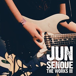  No.003Υͥ / ߥ塼å ե ɡTrack 182 ֥륭СVIסTHE WORKS III / JUN SENOUE