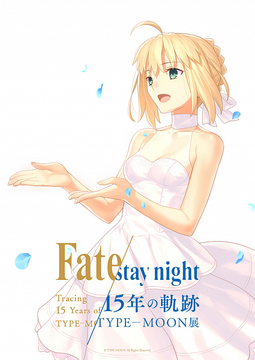  No.002Υͥ / TYPE-MOONŸ Fate/stay night -15ǯε-ס κǿӥ奢뤬
