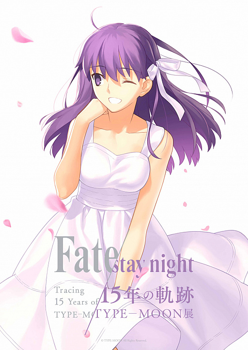  No.003Υͥ / TYPE-MOONŸ Fate/stay night -15ǯε-ס κǿӥ奢뤬