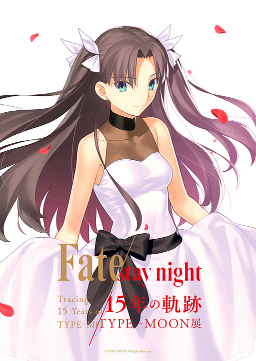  No.004Υͥ / TYPE-MOONŸ Fate/stay night -15ǯε-ס κǿӥ奢뤬