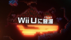  No.004Υͥ / Wii Uǡ֥ƥꥢפȯ915˷ꡣõۡƮʤɤͻҤǧǤץ⡼ࡼӡ