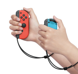 Nintendo Switch 5Ϣ³󥿥ӥ塼2ˡۡARMSԡJoy-Con򿶤ä臘СȳƮݡġɤȤϡ ͤץǥ塼ʹ
