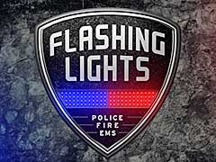 ץɤǶ۵ޥӥ˽Flashing Lights - Police Fire EMSפΥ꡼ǤSteamǥ꡼