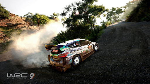 SwitchǡWRC9 FIA ɥ꡼ԥ󥷥åססȯ䡣WRC 2020θƥĤϿ꡼