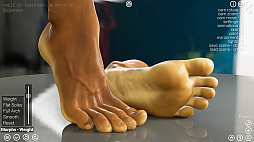 HAELE 3D - Feet Poser Pro