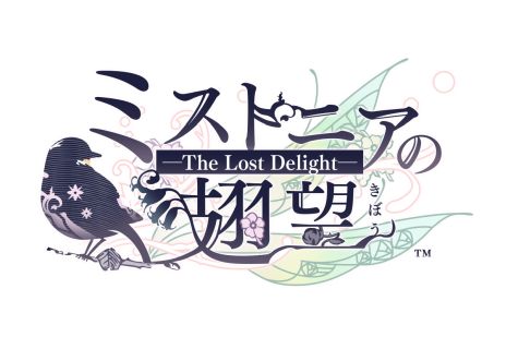  No.005Υͥ / ֥ߥȥ˥˾ -The Lost Delight-סɥɡCVĴƻ֡ˤȥեåɡCV߸͵ϺˤΥ饯PV