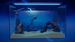 ޥꥦ -Muscle Aquarium Simulator-