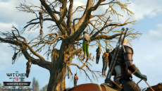  No.014Υͥ / E3 2019ϡThe Witcher 3: Wild Hunt Complete EditionפNintendo Switch2019ǯȯ